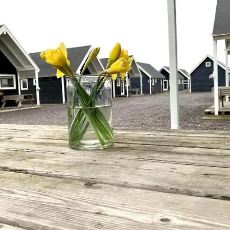 Σπίτι διακοπών 4 Star In